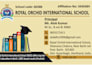 design professional flex banner and poster